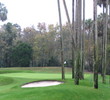 TPC Stadium course