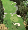 Saddlebrook Resort