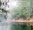 The Suwannee River