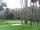 TPC Stadium course