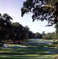 Hole No. 10