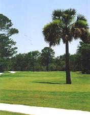 Royal Amelia Golf Links