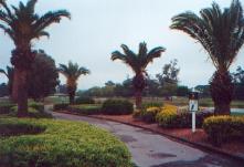 Belleview Biltmore Resort