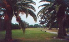 Belleview Biltmore Resort