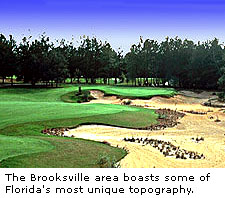 The Brooksville