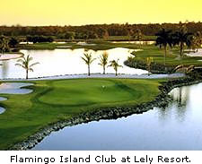 Flamingo Island Club