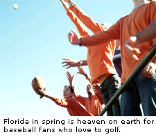 Florida Spring