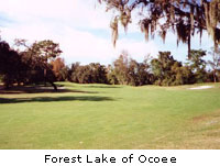Forest Lake of Ocoee