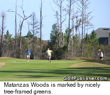 Matanzas Woods