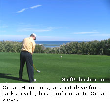 Ocean Hammock