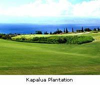 Kapalua Plantation