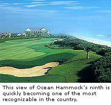 Ocean Hammock