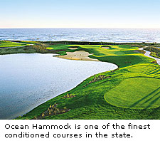 Ocean Hammock