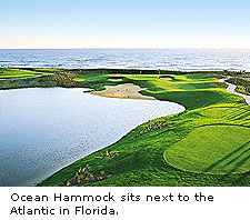 Ocean Hammock