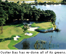 Oyster Bay