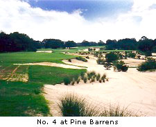 Pine Barrens