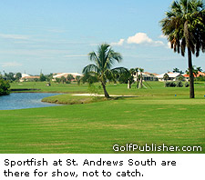 Sportfish St. Andrews South Golf