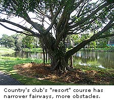 Resort Fairways