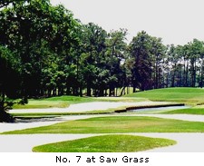 No. 7 at Saw Grass
