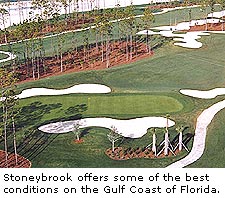 Stoneybrook Golf