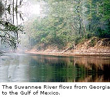The Suwannee River