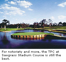 Stadium Course at the TPC at Sawgrass