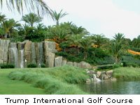 Trump International