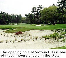Victoria Hills