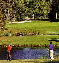 Westin Innisbrook Golf Resort
