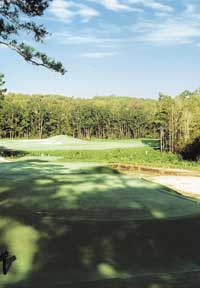 Hole No. 12