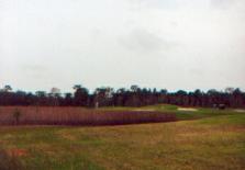 Fox Hollow Golf Club