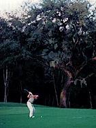 Fox Hollow Golf Club