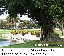 Banyan Trees on islandside