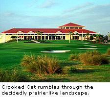 Crooked Cat