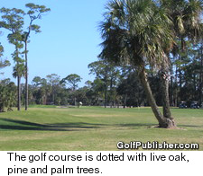 Daytona Beach Golf