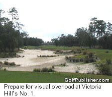 Daytona - Victoria Hills Golf Club