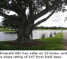 Emerald Hills