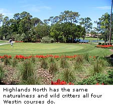 Highlands North
