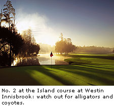 Island course