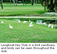 Longboat Key Bird Sanctuary