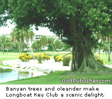 Banyan Tree
