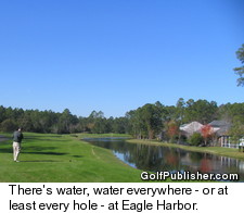 Jacksonville Eagle Harbor