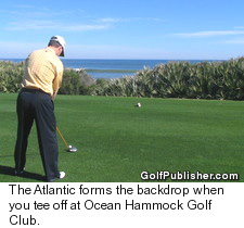 Jacksonville - Ocean Hammock Golf Club