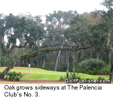 Palencia Club