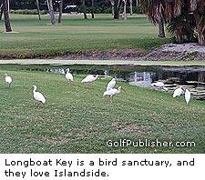 Longboat key  bird sanctury