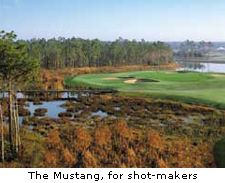 The Mustang, for shot-makers