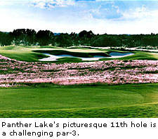 Panther Lake