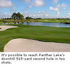 Panther Lake