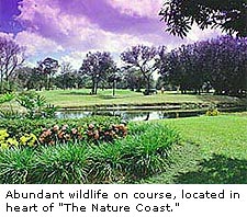 Plantation Inn Golf Course