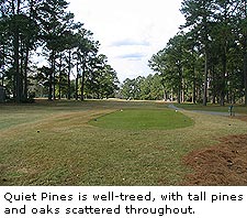Quiet Pines 